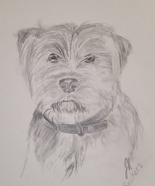 custom-dog-portrait-20240328